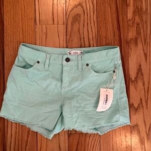 Carve Designs Light Green corduroy Shorts